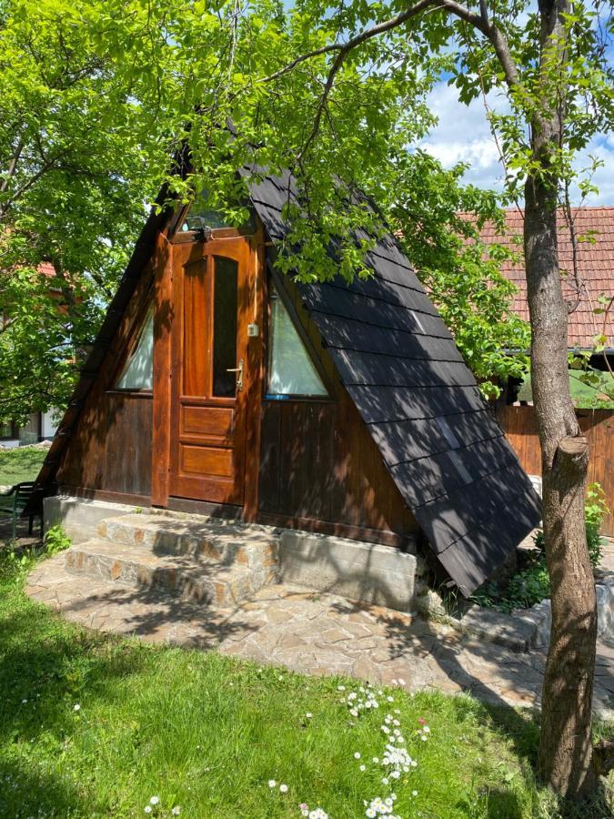 Sziklakert - Életöröm Vendégház Torockó Kültér fotó